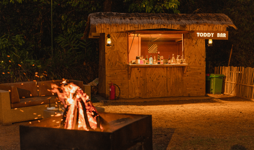 Dine by a Bonfire and Untamed Night-1