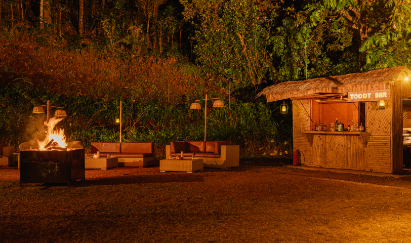 Dine by a Bonfire and Untamed Night