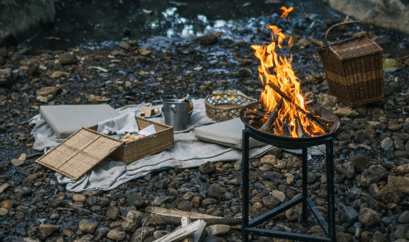 Picnic in the Forest-1