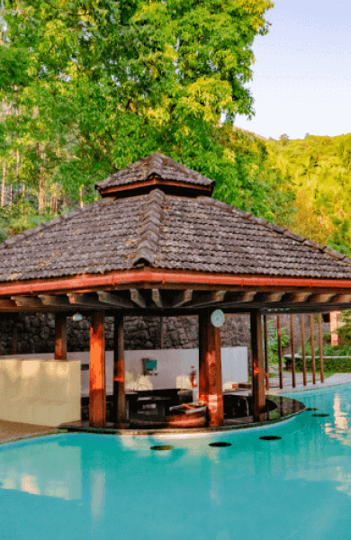 TTC - Wellness - Header