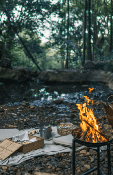 TTC - Curated Experience