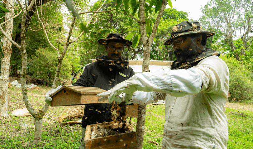 apiculture gallery image