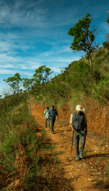 Trekking in Coorg Resort