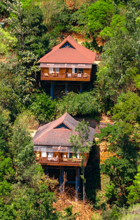 Nature Stay in Coorg