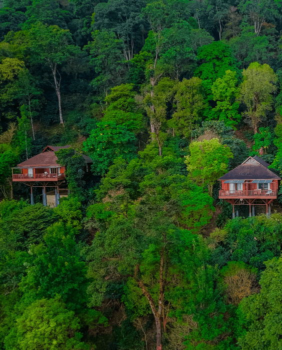 Best Nature Resorts in Coorg