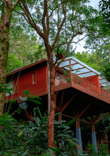 Wooden Cottages in Coorg