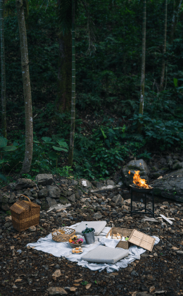 Picnic in the forest in Coorg Resort