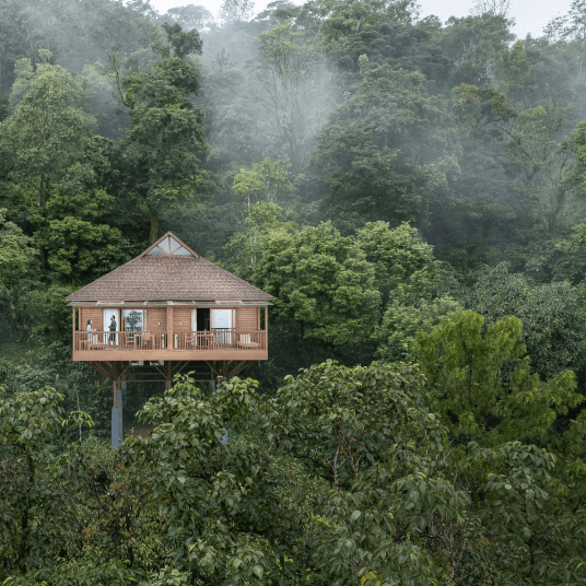 Prewedding shoot in Coorg Resort