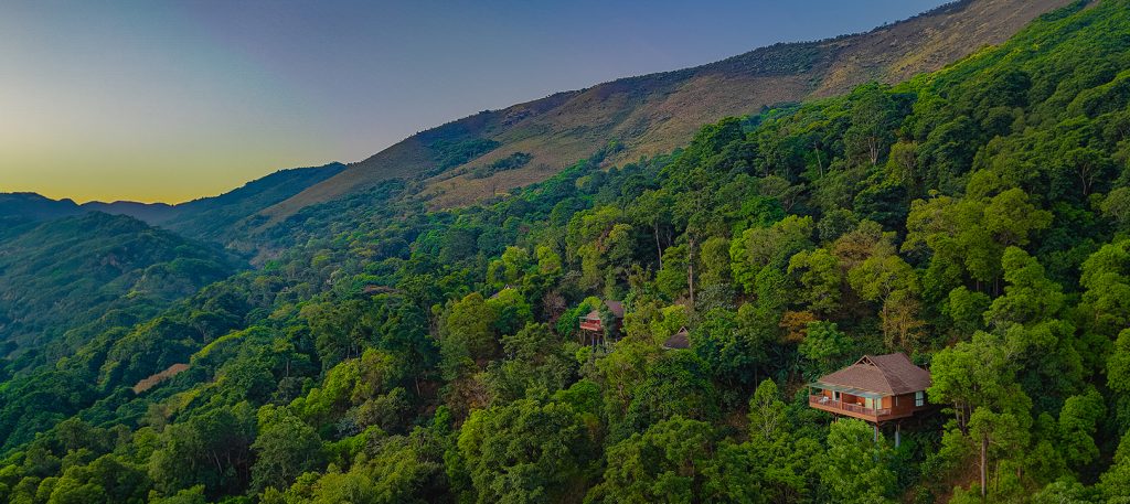Tamara Coorg cottage stay